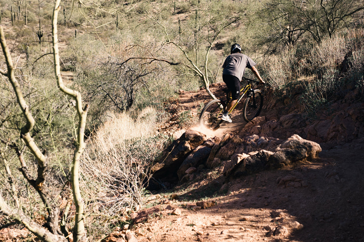 4130 Trail - Mountain Bike - Patina Gold
