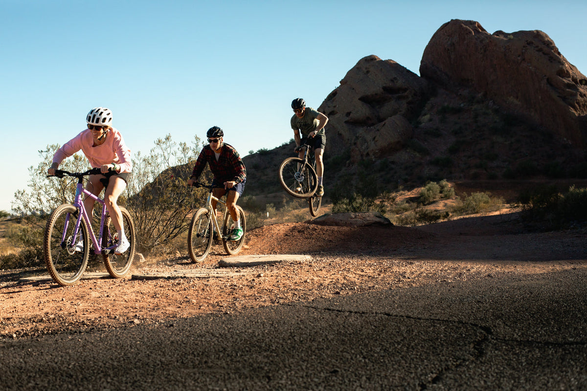 4130 All-Road - Raw Phosphate (12 Speed / UDH)