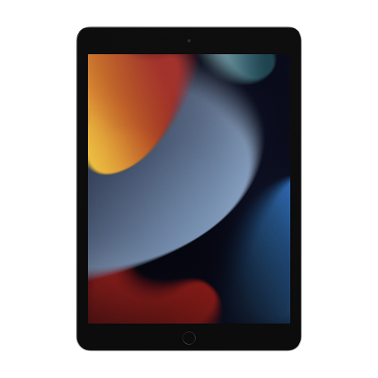 Apple 10.2-inch 9th Generation Wi-Fi 256GB - Space Gray - Grade A